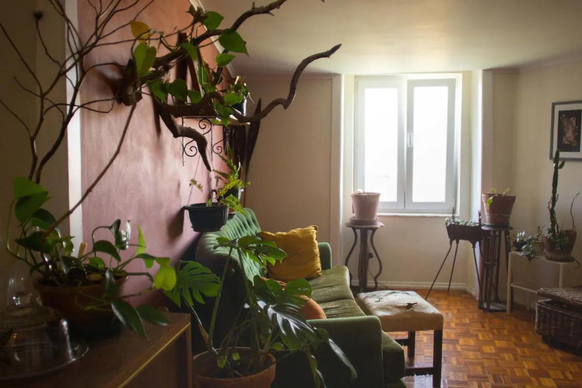 Boho Chic Apt 希拉自由镇 外观 照片